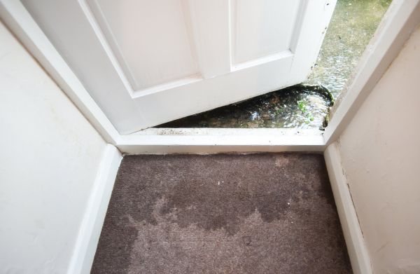Cost of Wet Carpet Restoration in Camarillo