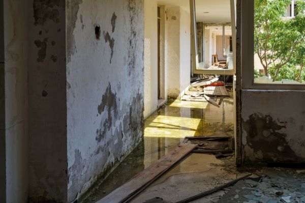 Cost of Water Removal Service in Camarillo