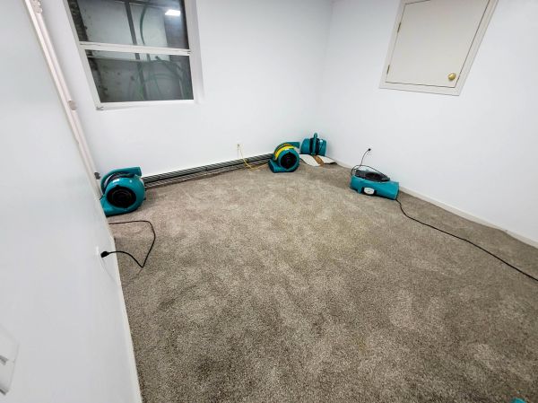 Flood Restoration Service in Camarillo