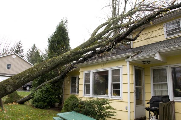 Hurricane Damage Repair in Camarillo