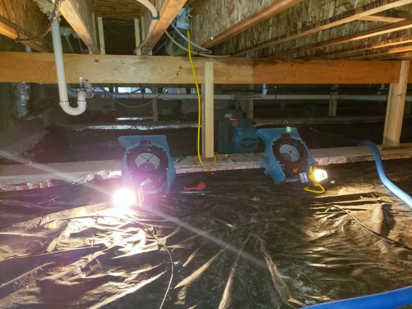 Cost of Crawlspace Water Removal in Camarillo
