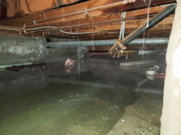 Cost of Crawlspace Water Restoration in Camarillo